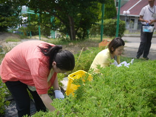 P1140407.JPG